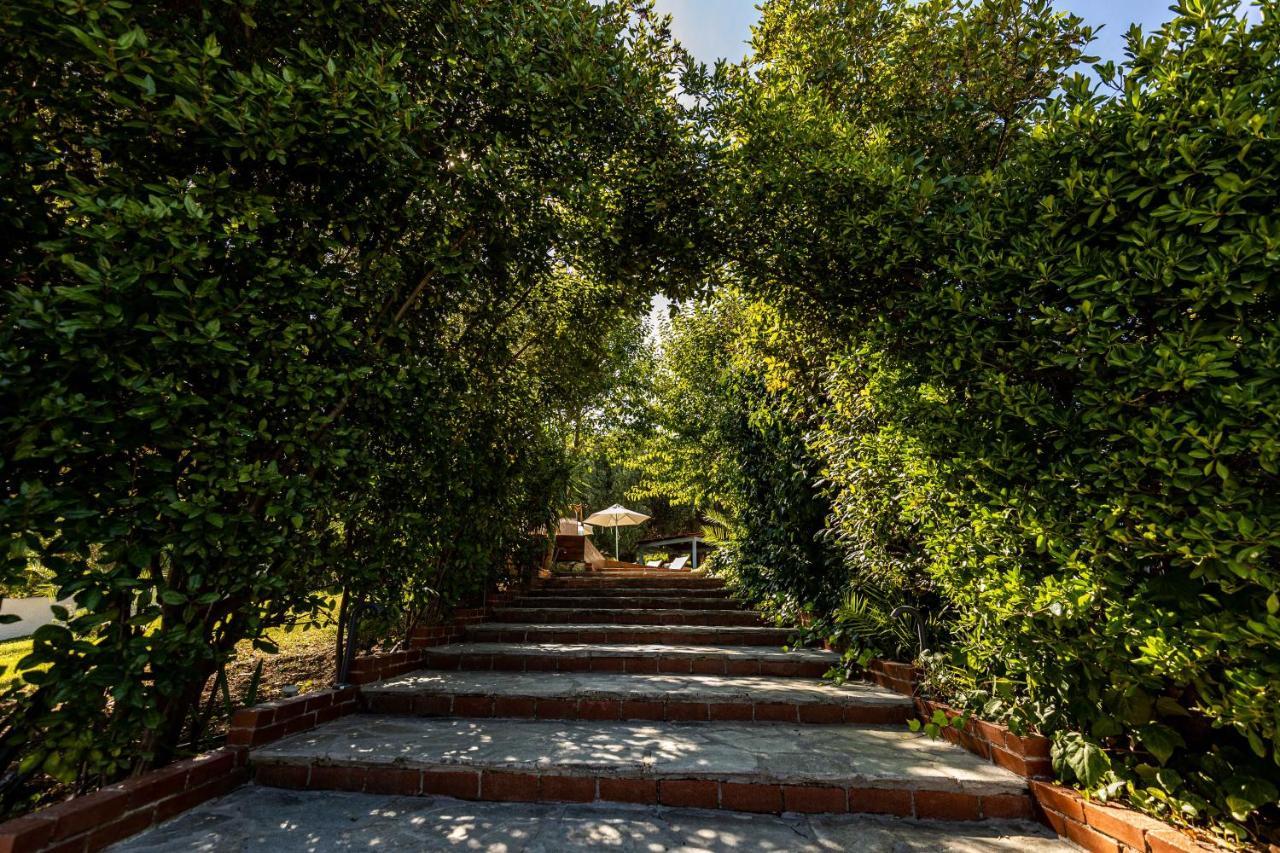 Casa Luxury Suites Paliouri Esterno foto